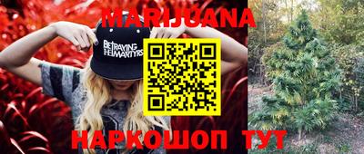 индика Краснодар