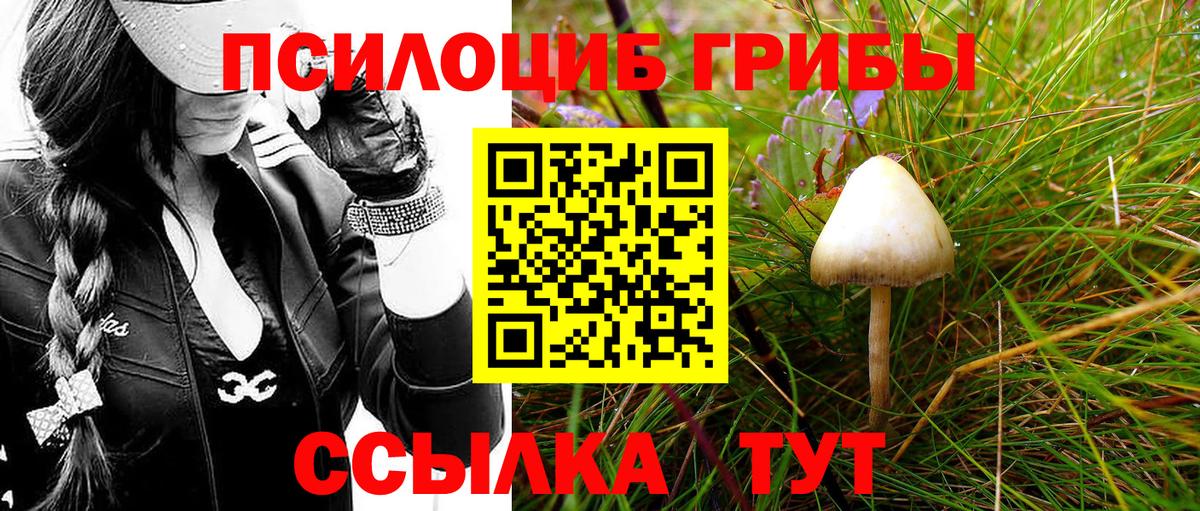 Ирбит  Галлюциногенные грибы GOLDEN TEACHER  Галлюциногенные грибы прущие грибы  Вход с VPN 