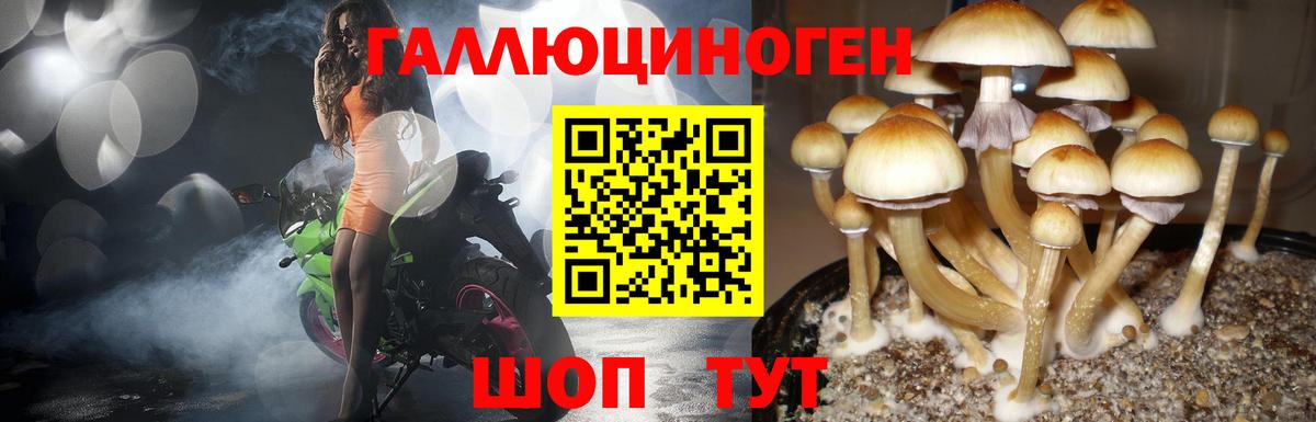 Галлюциногенные грибы GOLDEN TEACHER Ирбит